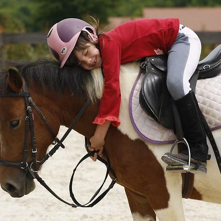 Willa Le Hameau Des Grilles Saint-Fargeau  Zewnętrze zdjęcie