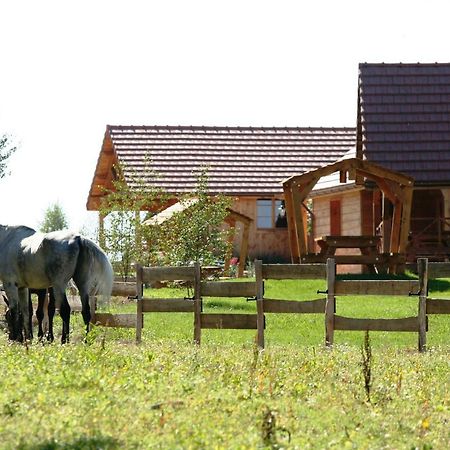 Willa Le Hameau Des Grilles Saint-Fargeau  Zewnętrze zdjęcie