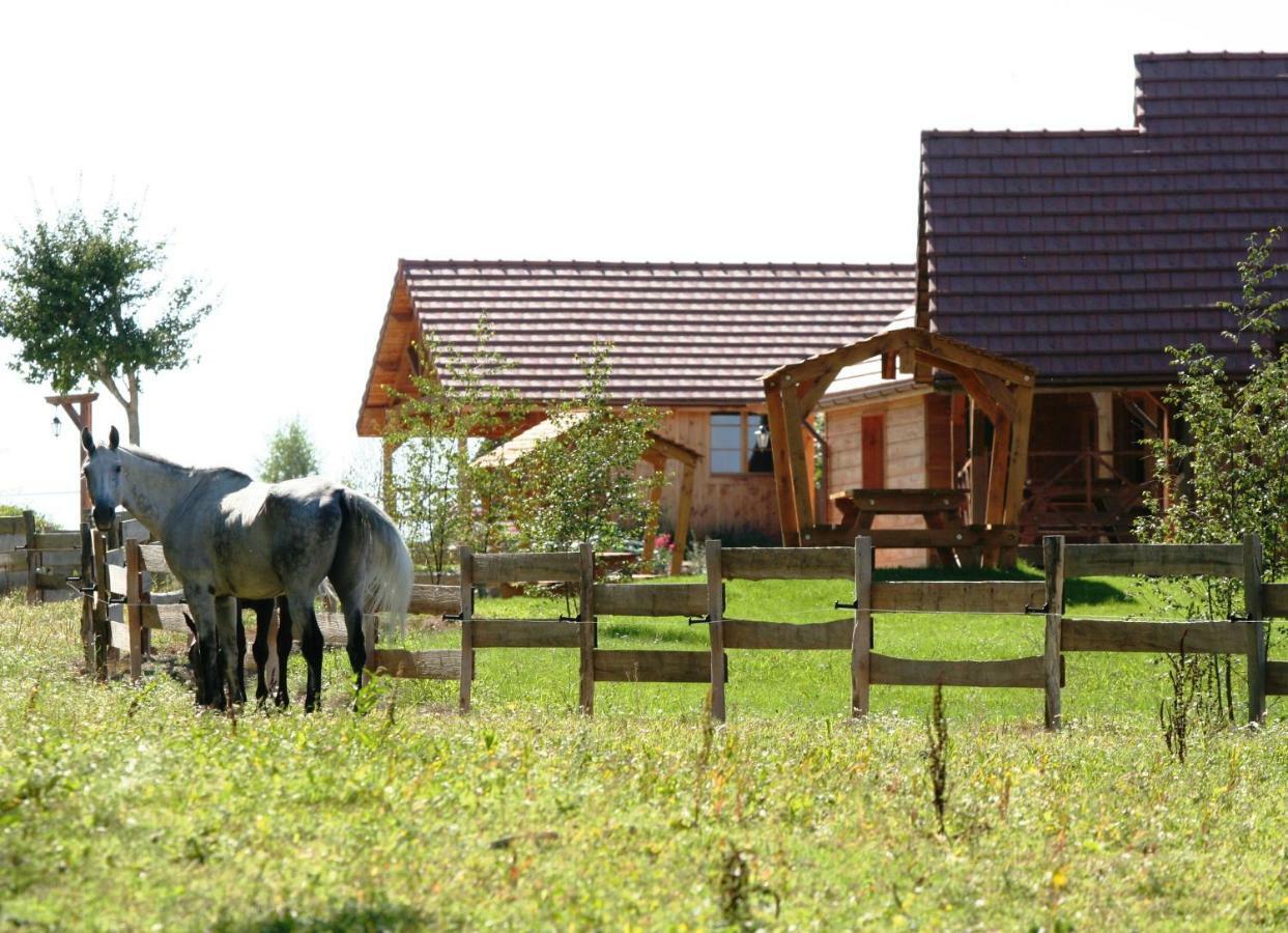 Willa Le Hameau Des Grilles Saint-Fargeau  Zewnętrze zdjęcie
